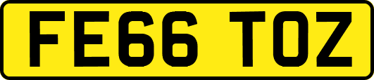 FE66TOZ