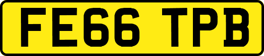 FE66TPB