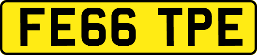 FE66TPE