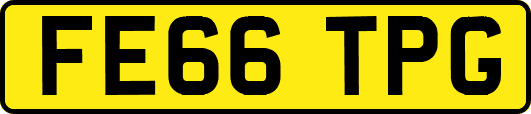 FE66TPG