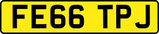 FE66TPJ