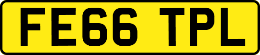 FE66TPL