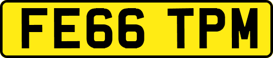 FE66TPM