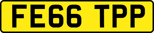 FE66TPP