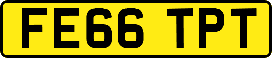 FE66TPT