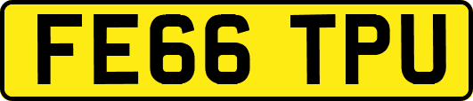FE66TPU