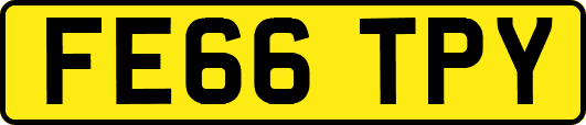 FE66TPY