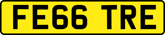 FE66TRE