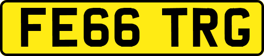 FE66TRG