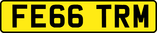 FE66TRM