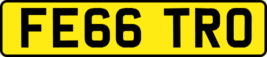 FE66TRO
