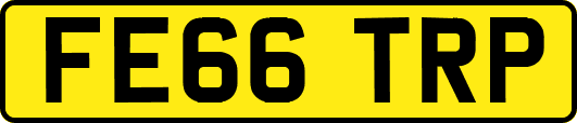 FE66TRP