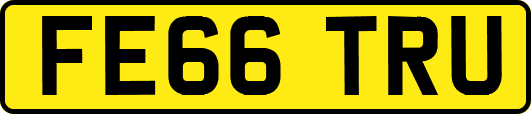 FE66TRU