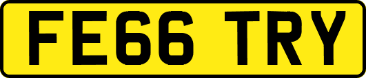 FE66TRY