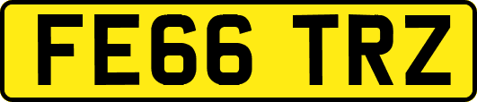 FE66TRZ