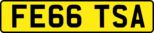 FE66TSA
