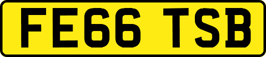 FE66TSB