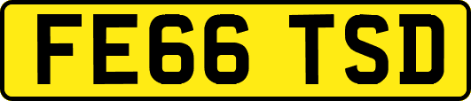 FE66TSD