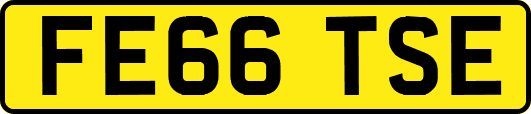 FE66TSE