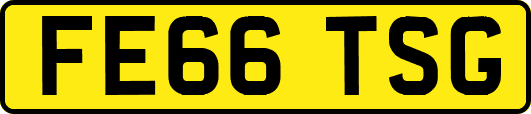 FE66TSG