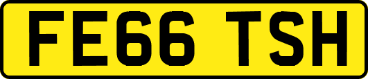 FE66TSH