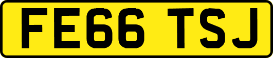 FE66TSJ