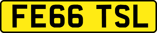 FE66TSL