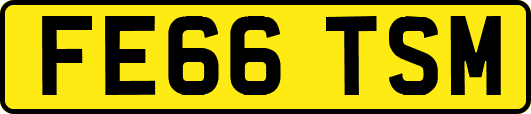 FE66TSM