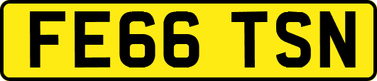 FE66TSN