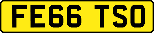 FE66TSO
