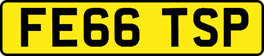 FE66TSP