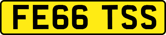 FE66TSS