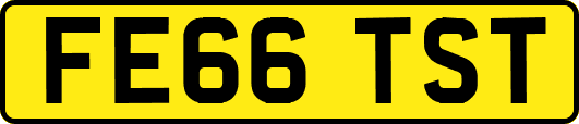 FE66TST