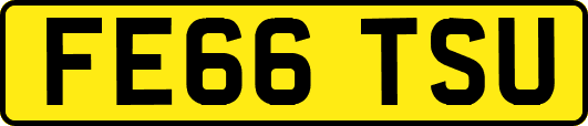 FE66TSU