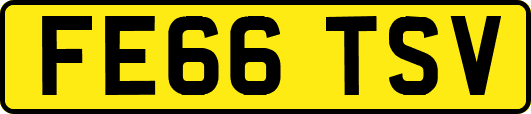 FE66TSV