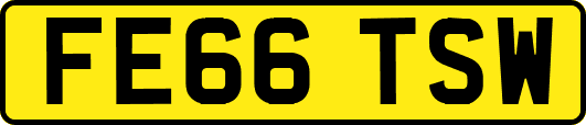 FE66TSW