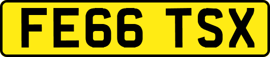 FE66TSX