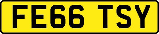 FE66TSY