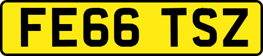 FE66TSZ