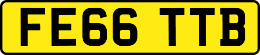 FE66TTB