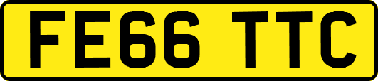FE66TTC