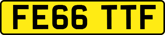 FE66TTF