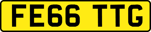 FE66TTG