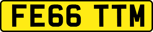 FE66TTM