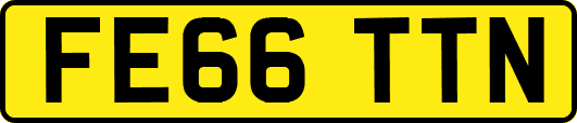 FE66TTN