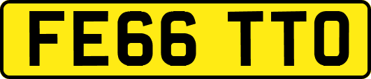 FE66TTO