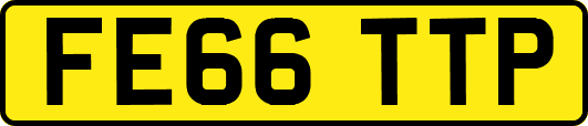 FE66TTP