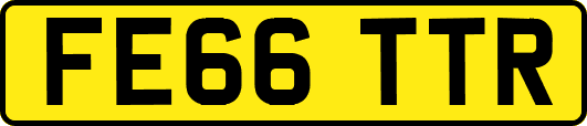 FE66TTR