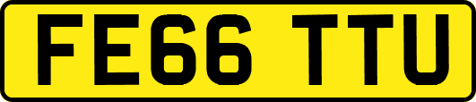 FE66TTU