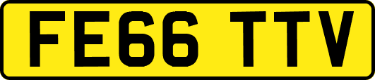 FE66TTV